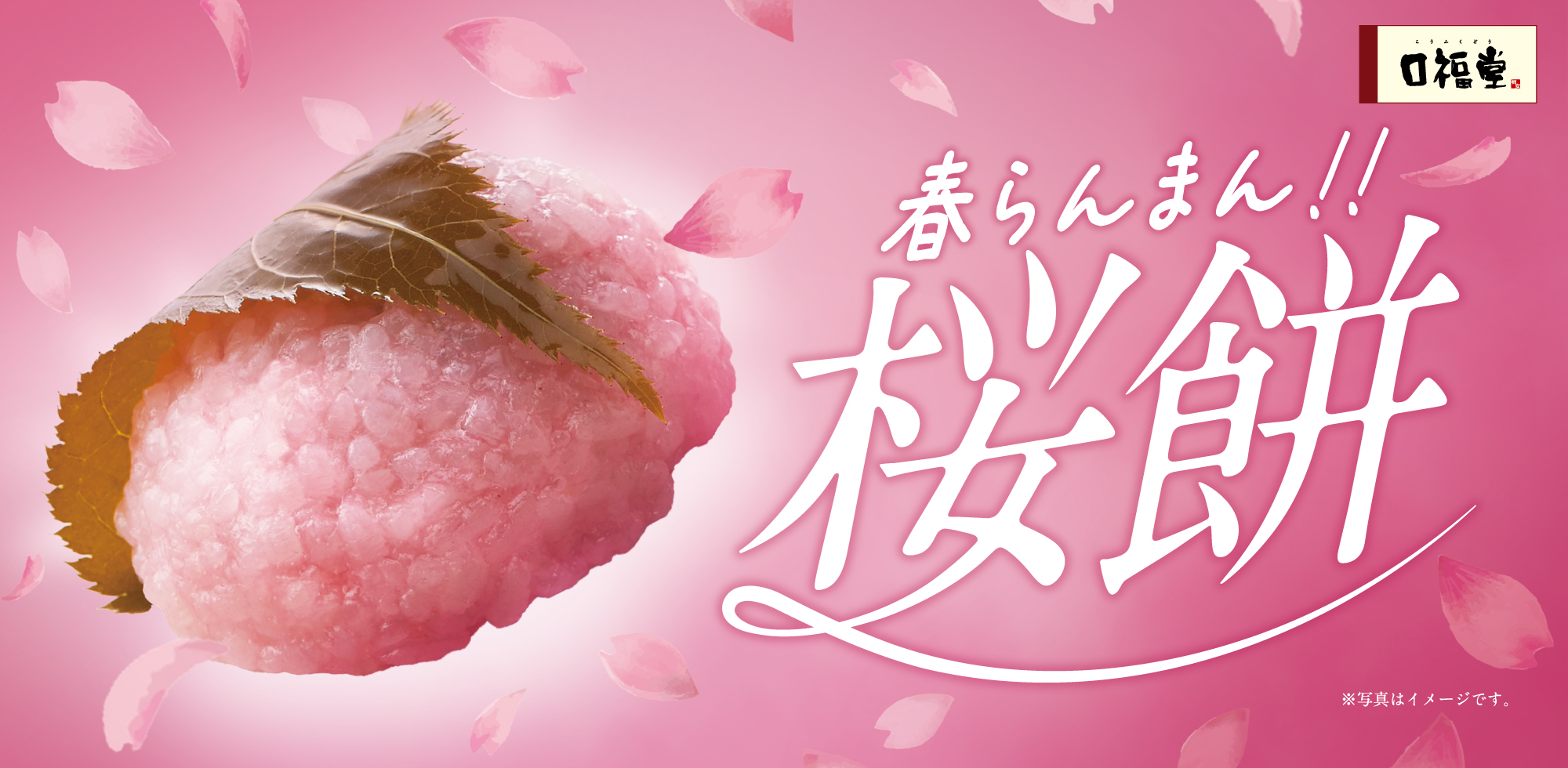 桜餅（こしあん）